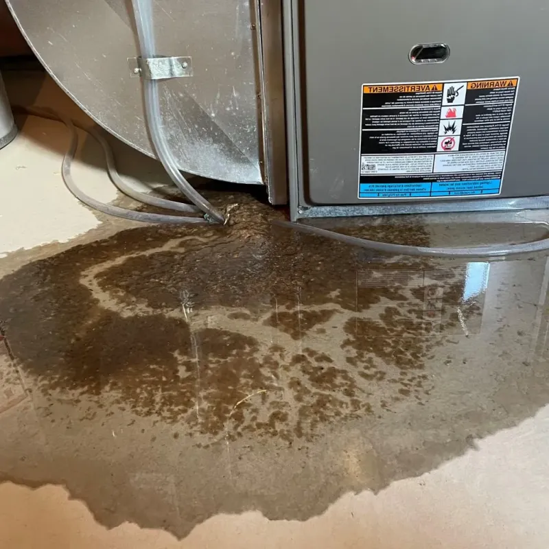 Pipe Burst and Leak Restoration in Powell, WY