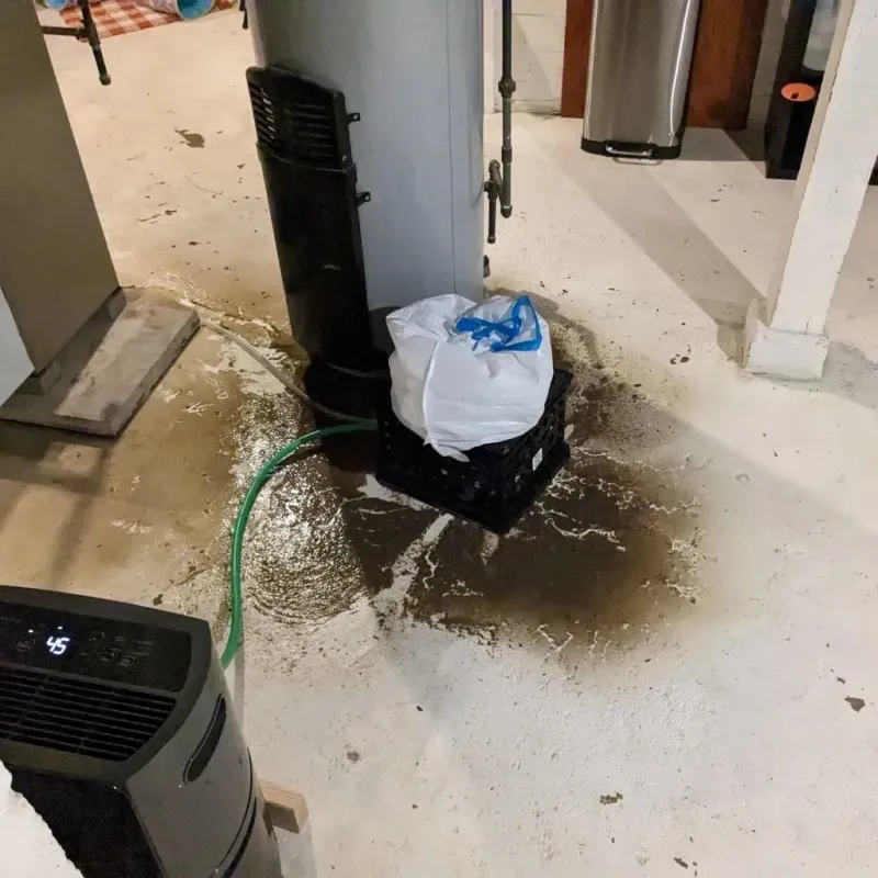 Sewage Backup Cleanup Service in Powell, WY